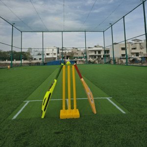Cricket